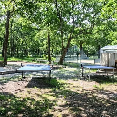 Sur Pilotis Avec Terrasse A - Api-1-52-1474